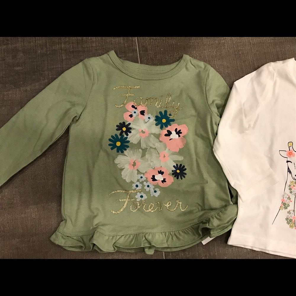 2 NWT Carter’s long sleeve graphic tshirts - Picture 8 of 10
